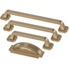 image:imageFranklin Brass 10 Pack Polished Nickel Cabinet Handles 3 inch 76mm Kitchen Cabinet Handles and Drawer Pulls for Cupboards and Dressers Notched BackplateChampagne Bronze