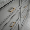 image:imageFranklin Brass 5Pack  Champagne Bronze Cabinet Handles 5116 Inch Hole Center Classic Pulls for Drawers Kitchen Cabinet Door Dressers  Napier